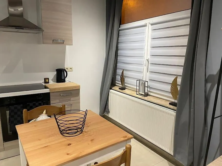 Studio Proche De L'Aeroport/Gare/Centre Ville Charleroi Apartment